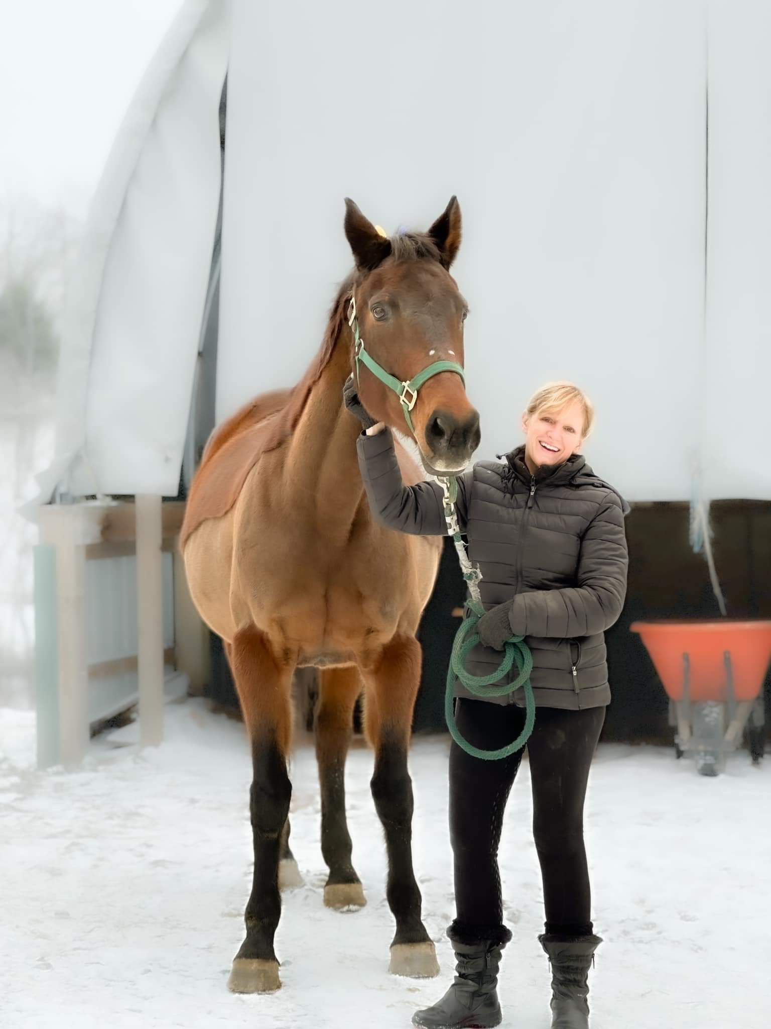Beth standing next to a horse in the snow.